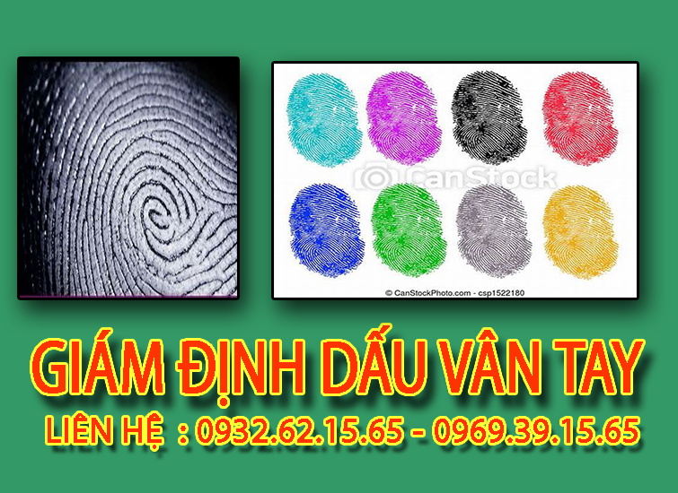 Dịch vụ giám định dấu vân tay uy tín tại Quy Nhơn 1